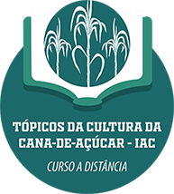 :: Curso - Tópicos da Cultura da Cana-de-açúcar